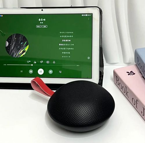 合适？索尼、西圣、小米哪个更值得选？开元棋牌网站便携蓝牙音箱买什么牌子的(图7)