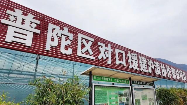 东川蓝莓沪上飘香开元棋牌app(图4)