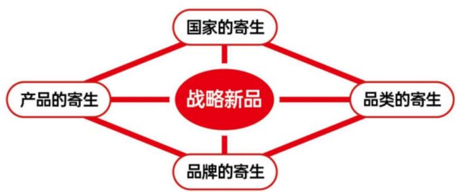 祭的崛起之路：中国白酒破局启示样本开元ky棋牌万字讲透“日本茅台”獭(图16)